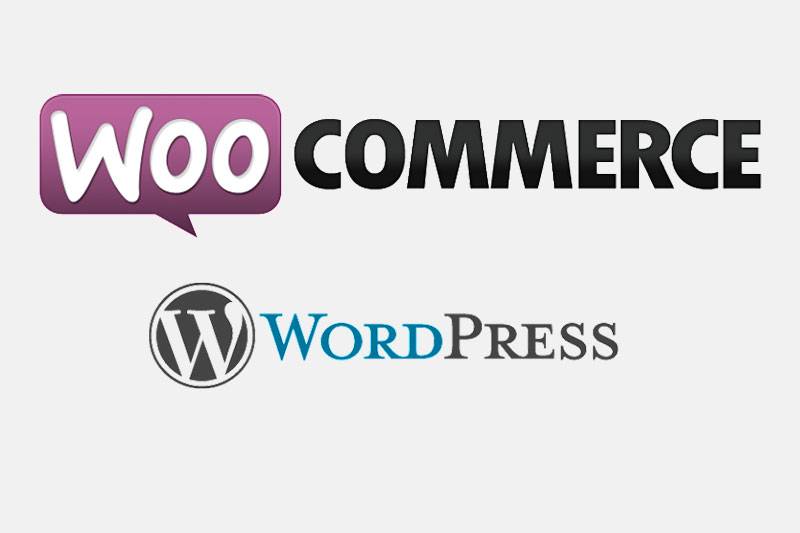 Manual WOOCOMMERCE